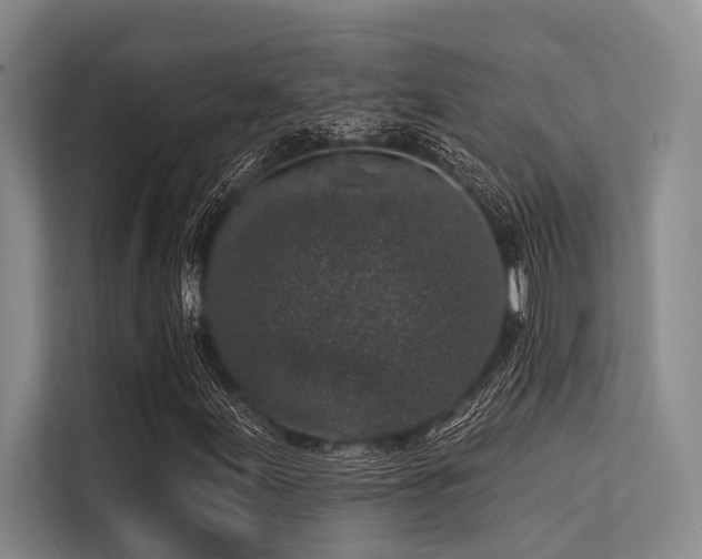 X0000113551155200909181153