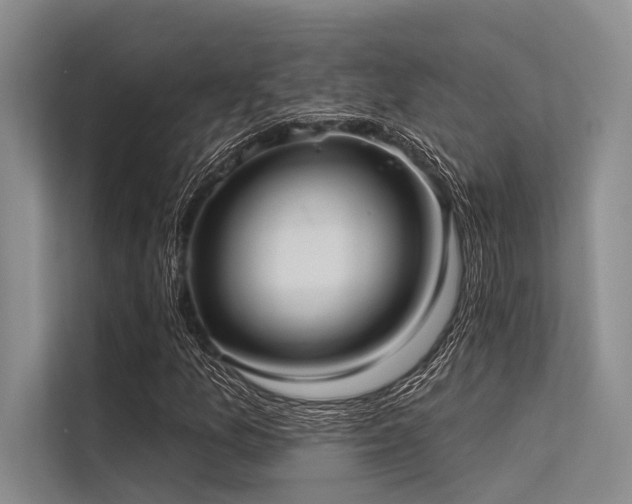 X0000113551157200909181153