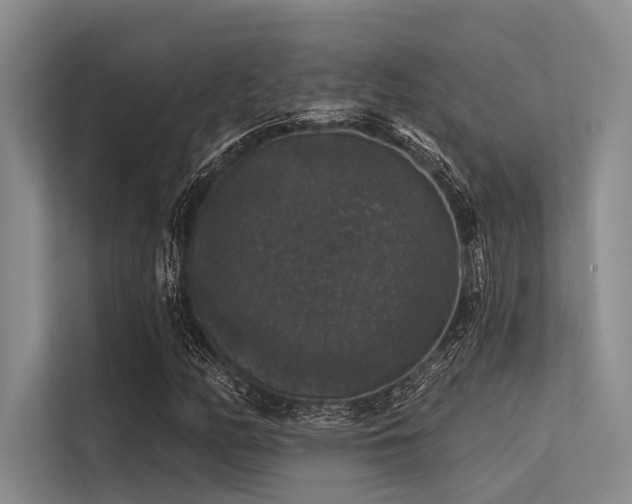 X0000113551158200909181153