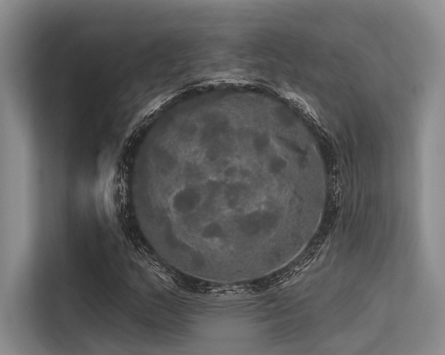 X0000113551159200909181153