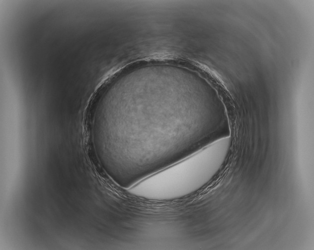 X0000113551160200909181153