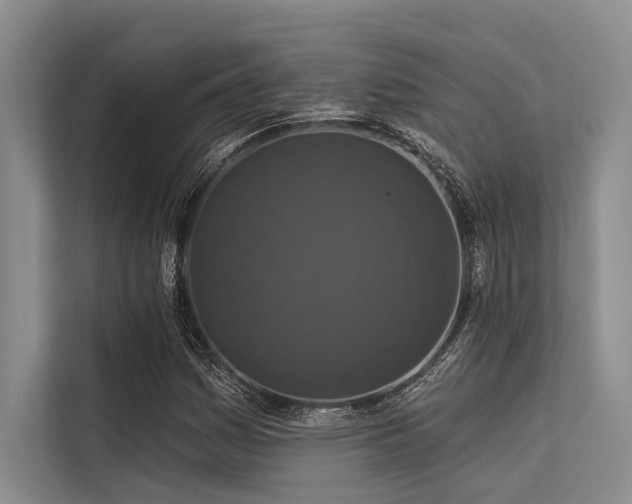 X0000113551161200909181153