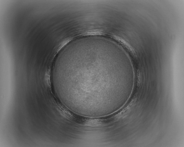 X0000113551162200909181153