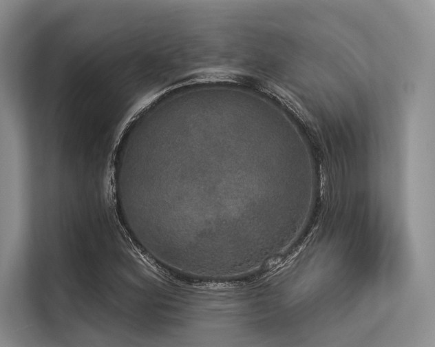 X0000113551164200909181153