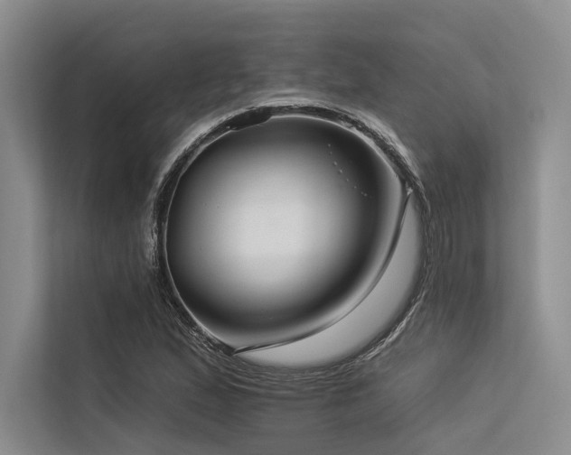 X0000113551167200909181153