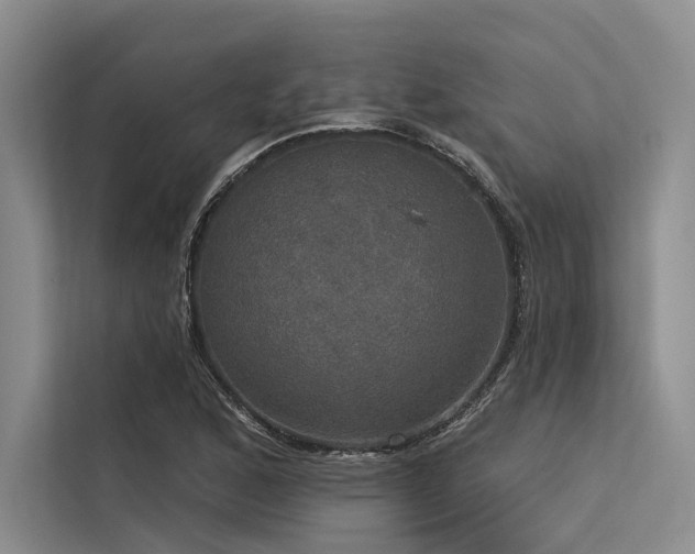 X0000113551168200909181153