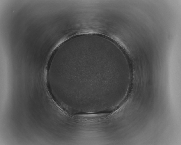 X0000113551173200909181153