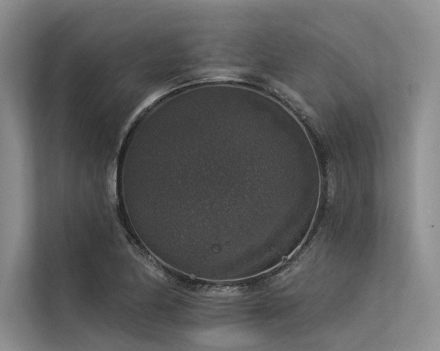 X0000113551174200909181153
