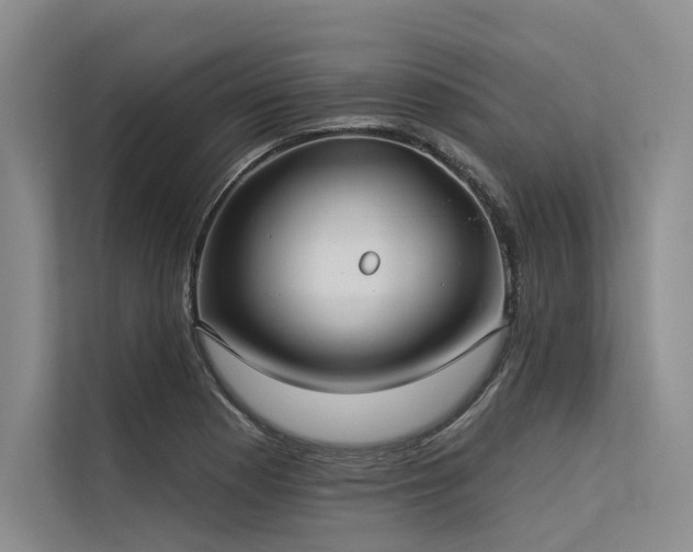 X0000113551177200909181153