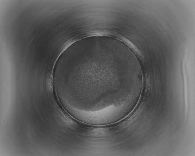 X0000113551178200909181153