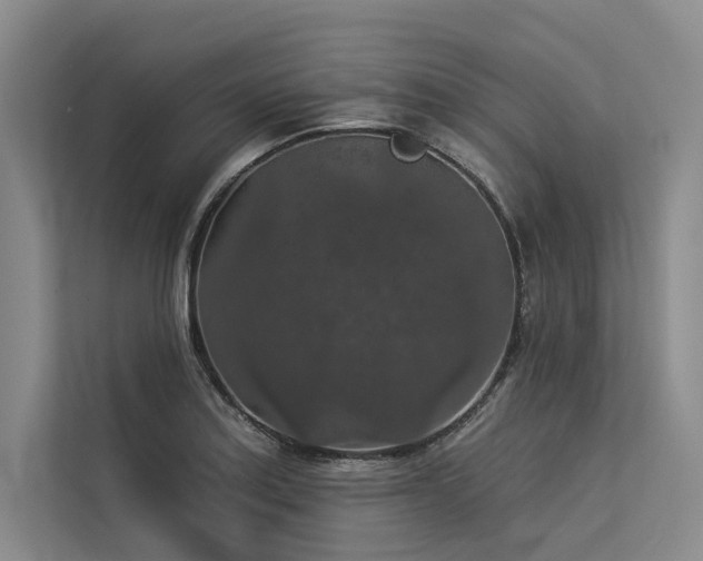 X0000113551179200909181153