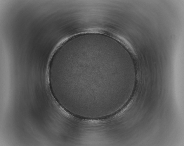 X0000113551180200909181153