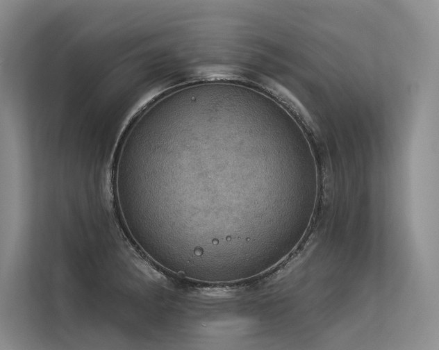 X0000113551182200909181153