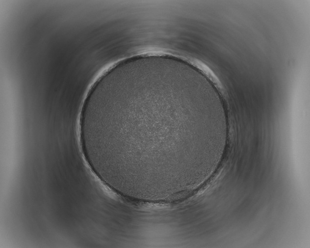 X0000113551183200909181153