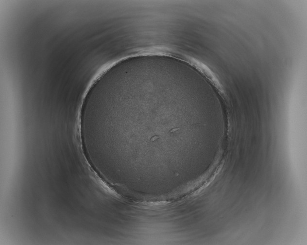 X0000113551184200909181153
