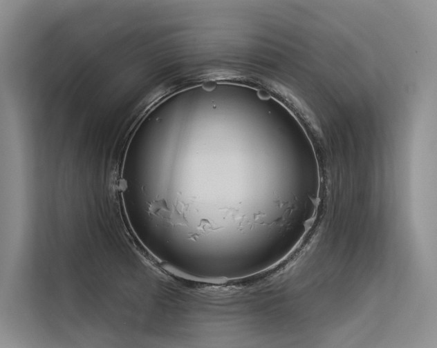X0000113551185200909181153