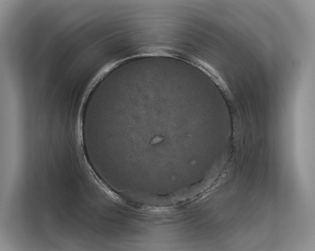 X0000113551188200909181153