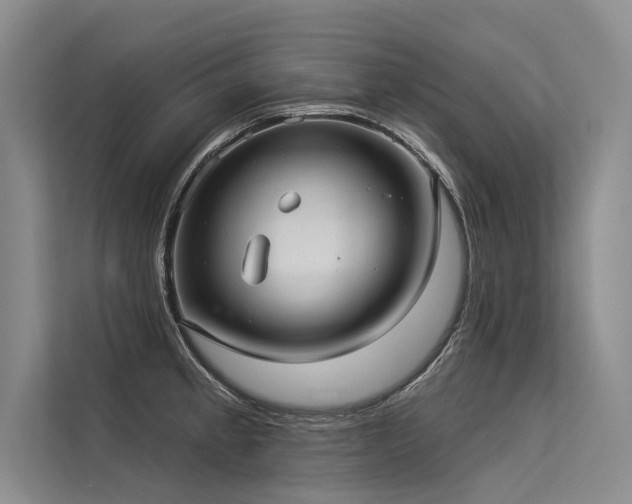 X0000113551189200909181153