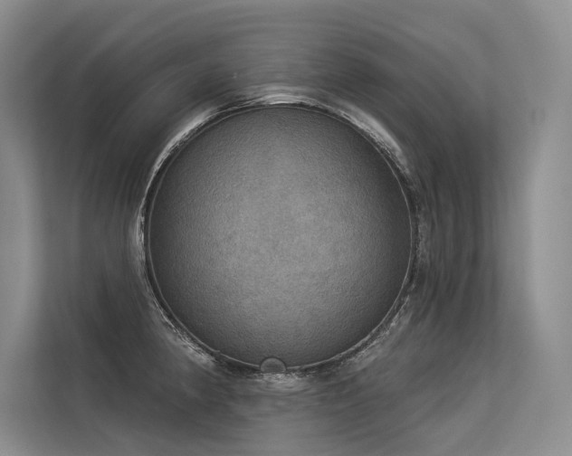 X0000113551190200909181153