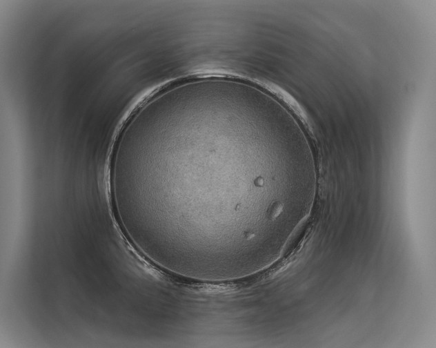 X0000113551191200909181153