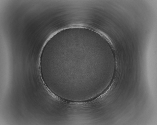 X0000113551192200909181153