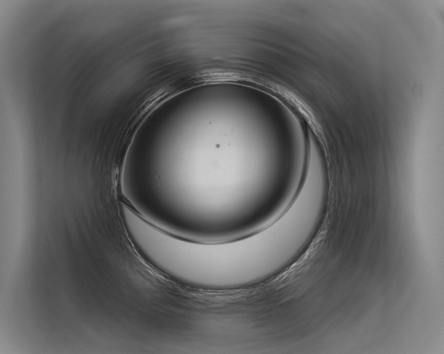 X0000113551193200909181153