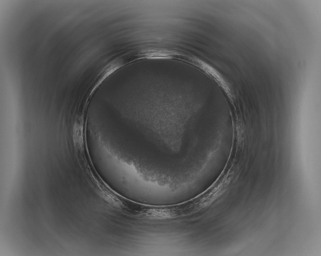 X0000113551194200909181153