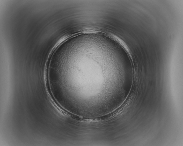 X0000113551195200909181153