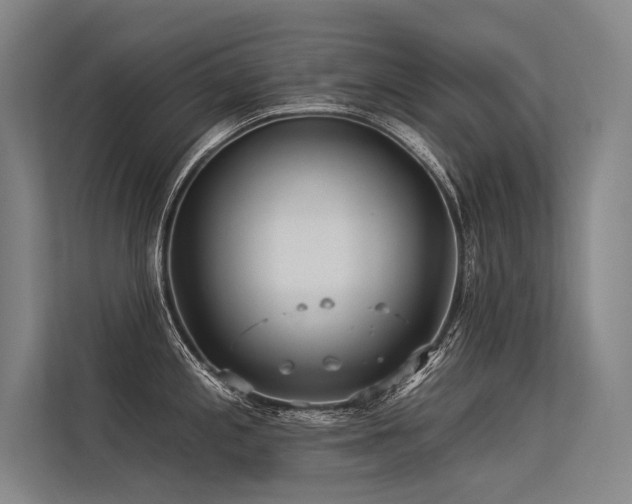 X0000113551197200909181153