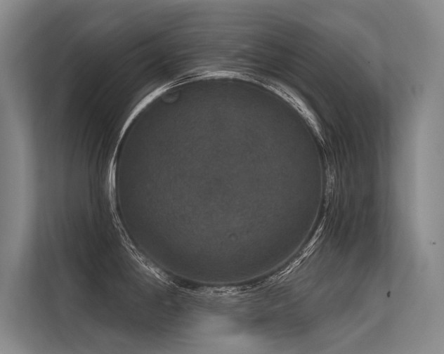 X0000113551198200909181153