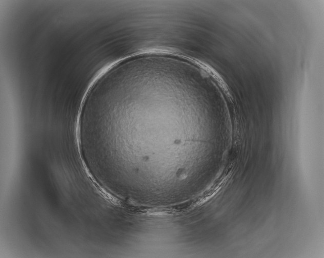X0000113551199200909181153