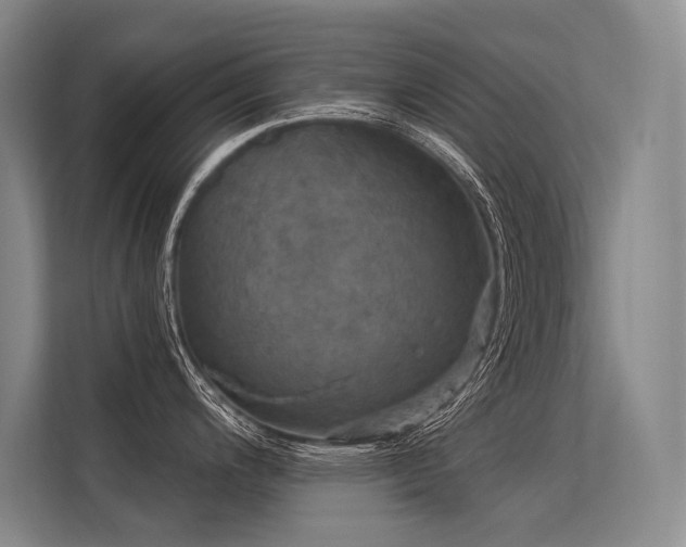 X0000113551200200909181153