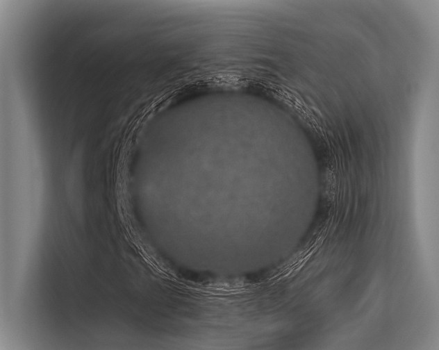 X0000113551201200909181152