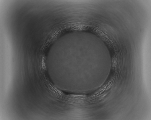 X0000113551202200909181152