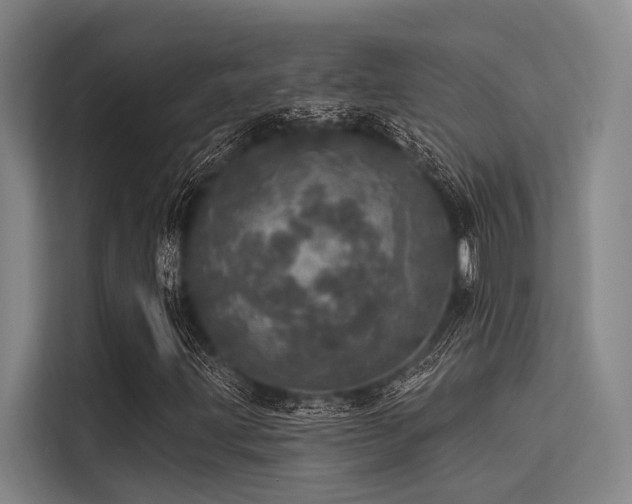 X0000113551203200909181152