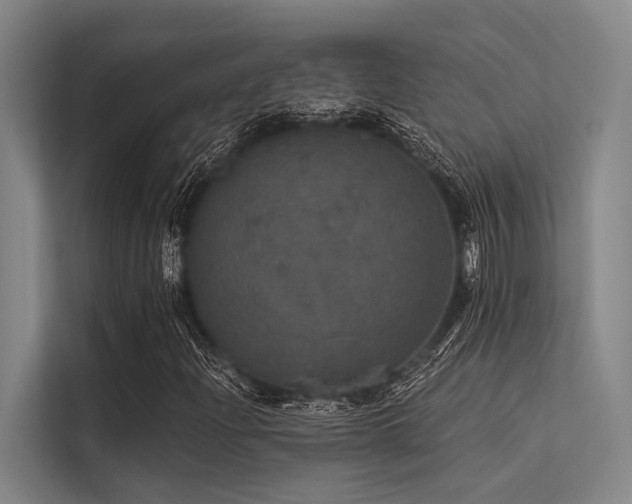 X0000113551204200909181152