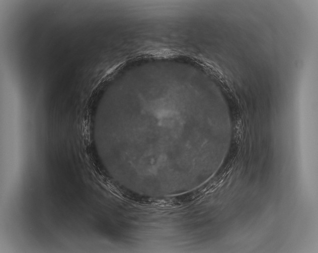 X0000113551205200909181152