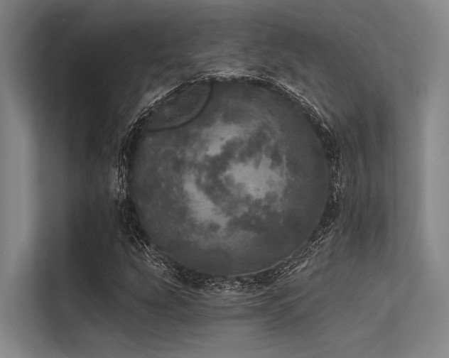 X0000113551207200909181152