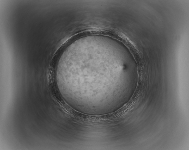 X0000113551208200909181152