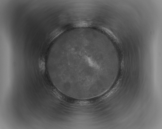 X0000113551209200909181152