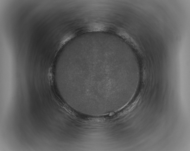 X0000113551210200909181152