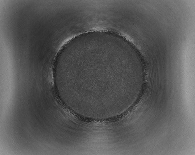 X0000113551214200909181152