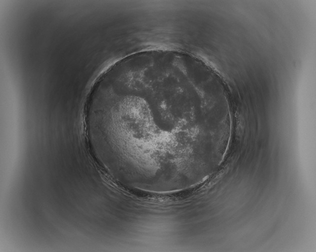 X0000113551215200909181152