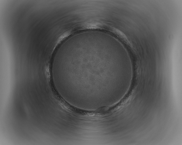 X0000113551218200909181152