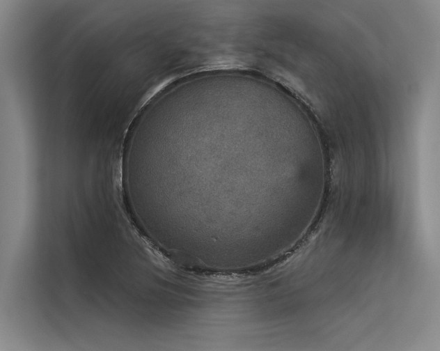 X0000113551220200909181152