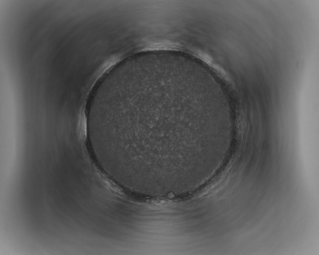 X0000113551221200909181152