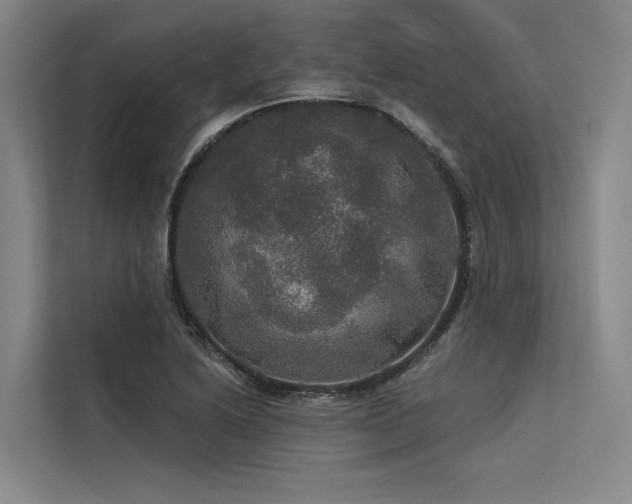 X0000113551222200909181152