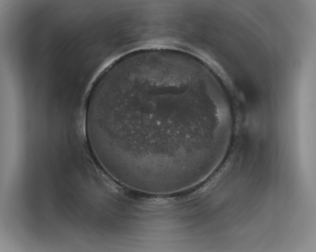 X0000113551224200909181152
