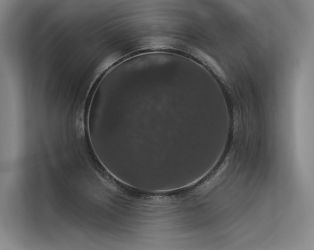 X0000113551226200909181152