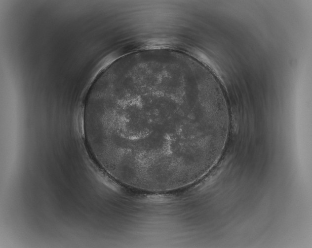 X0000113551227200909181152